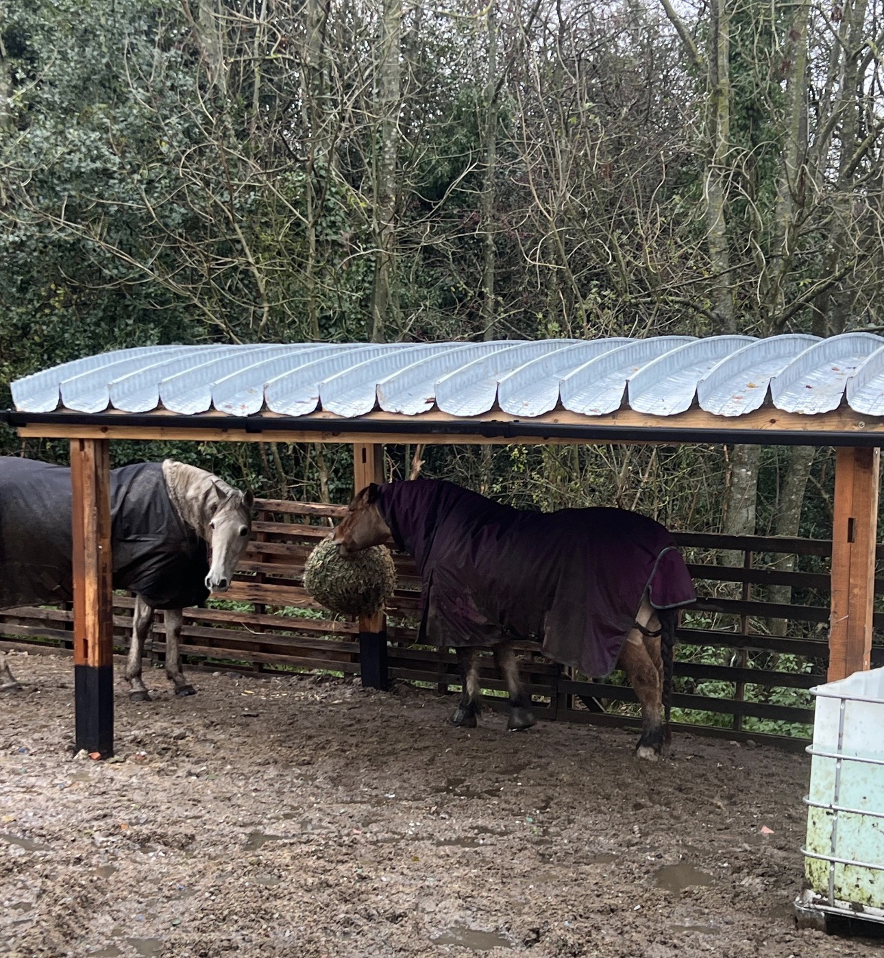 Horse shed roof using K-Span panels